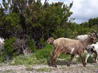 021 Parco Nazionale Genagentu